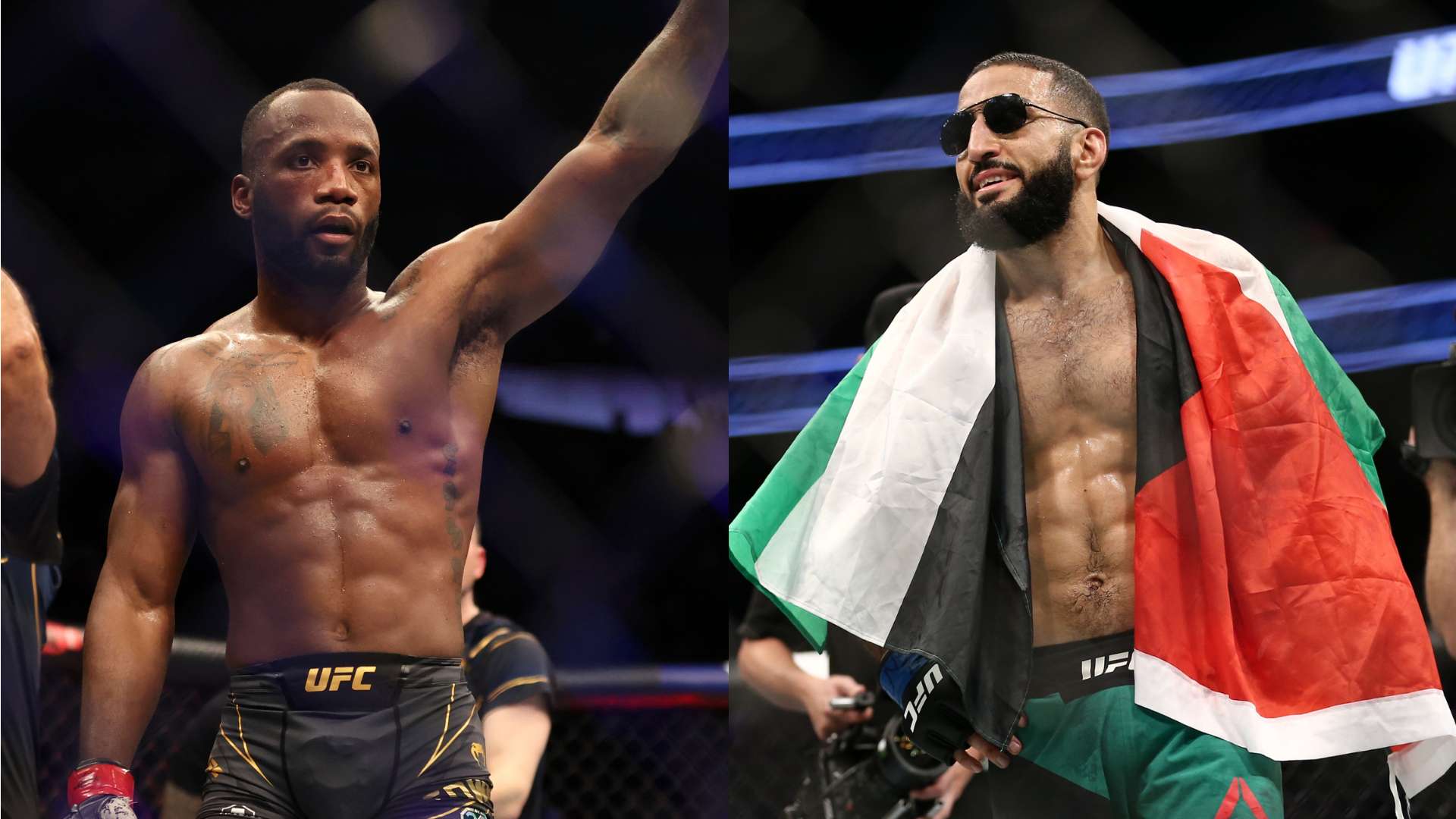 美洲的年轻 美洲的年轻