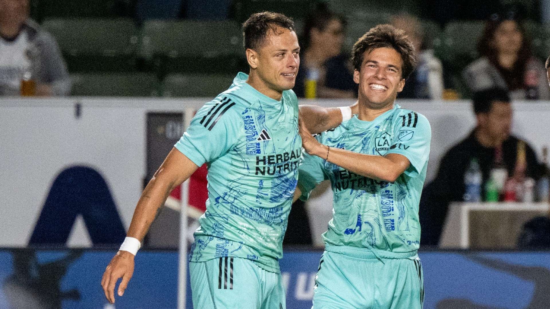 总体而言 总体而言